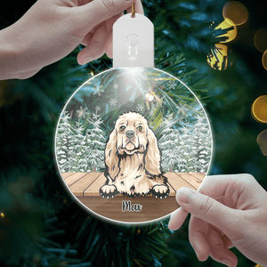 GeckoCustom Personalized Dog For Christmas Led Ornament TH10 892163 3 inches