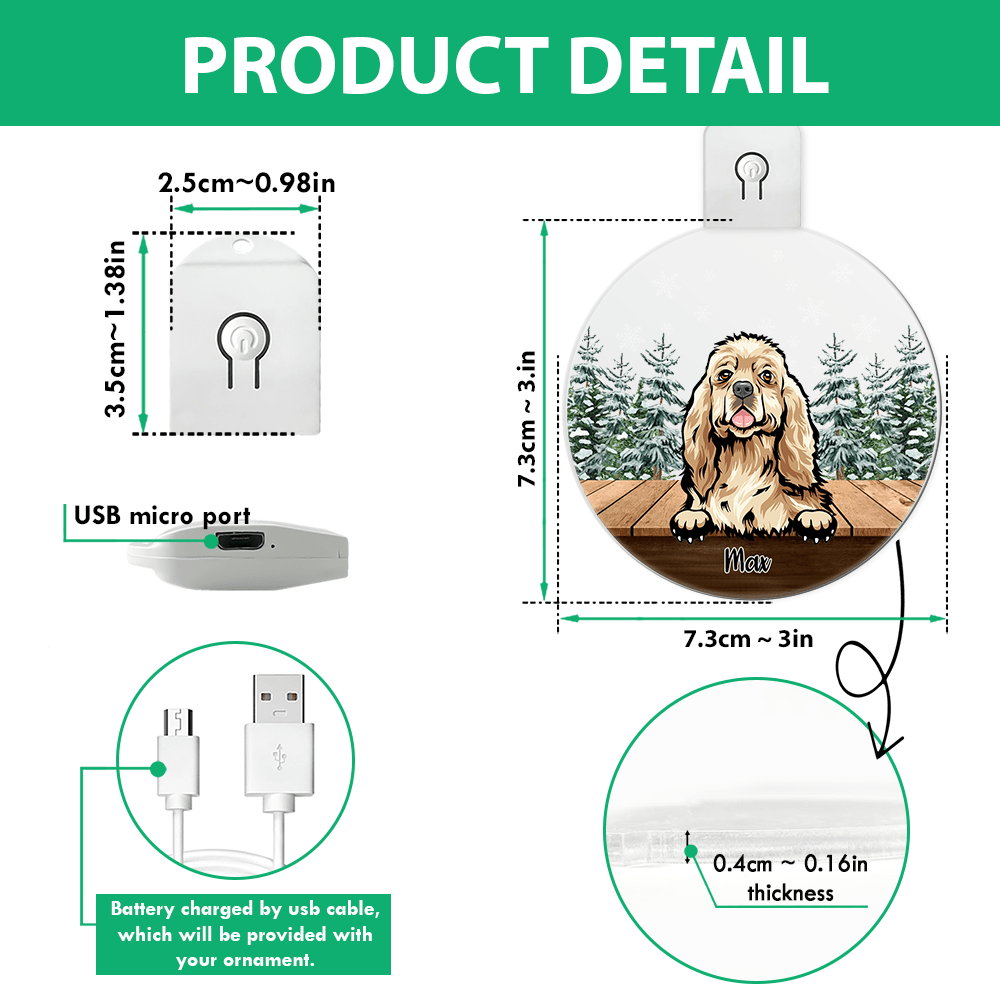 GeckoCustom Personalized Dog For Christmas Led Ornament TH10 892163 3 inches