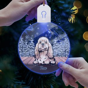 GeckoCustom Personalized Dog For Christmas Led Ornament TH10 892163 3 inches