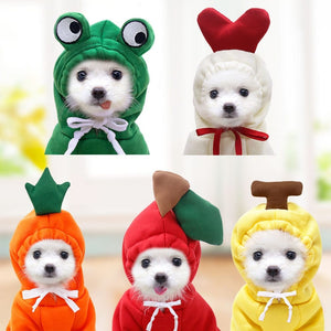 GeckoCustom Pet Clothes Dogs Hooded Sweatshirt Fruit Warm Coat Cat Sweater Cold Weather Costume for Puppy Small Medium Large Dog Cat Clothes