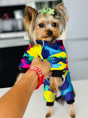 GeckoCustom Pet Dog Clothes Winter Warm Dog Windproof Coat Thicken Pet Clothing For Dogs Costume Jumpsuit Hoodies Jacket Pet Supplies perros