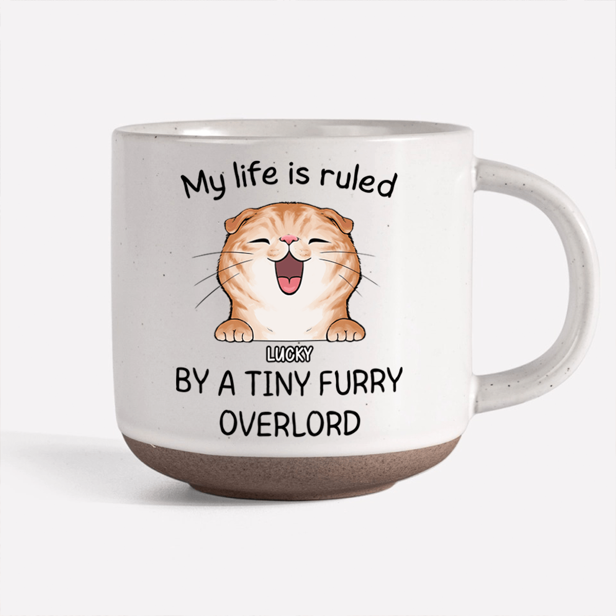 GeckoCustom Ruled By Tiny Furry Overlords For Cat Lover Pottery Mug TH10 892093 12oz