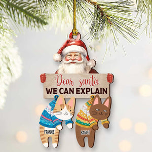 GeckoCustom Santa We Can Explain Funny Cat Christmas Wood Ornament Personalized Gift HO82 893106