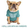 GeckoCustom Summer/Spring Dog Clothes Quality Breathable Pet Clothing Soft Letters Printed French Bulldog Clothes for Small Dogs T-shirt Lake Blue A / S