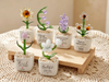 Glass Plant Pot, Personalized Name Mini Glass Flower, Teacher Appreciation Desk Table Decoration TH10 170207