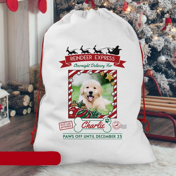 Custom Photo Overnight Delivery For Your Dog Christmas Gift Bag TH10 896981