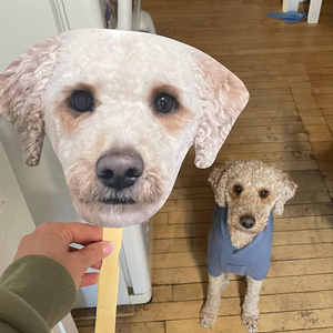 Custom Photo Funny Dog - Big Head Photo Face Fan HA75 892018