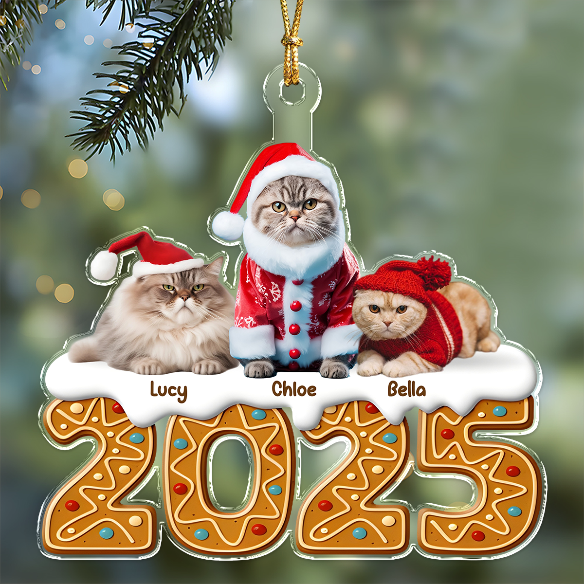 Custom Photo Cat Acrylic Ornament Christmas Gifts For Cat Lovers HA75 897856