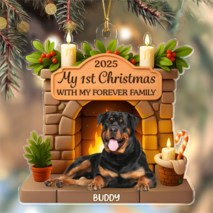 Custom Photo Dog First Christmas Acrylic Ornament For Dog Lovers HA75 897888