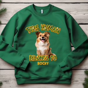 Custom Photo This Human Belongs To Dog Cat Sweatshirt TH10 896533