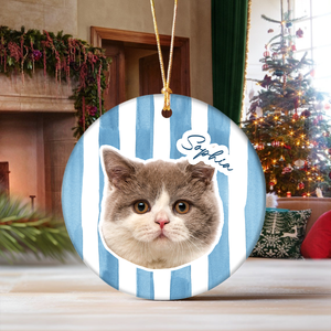 Custom Cute Cat Photo Ornament Christmas Gift For Cat Lovers LM32 895763