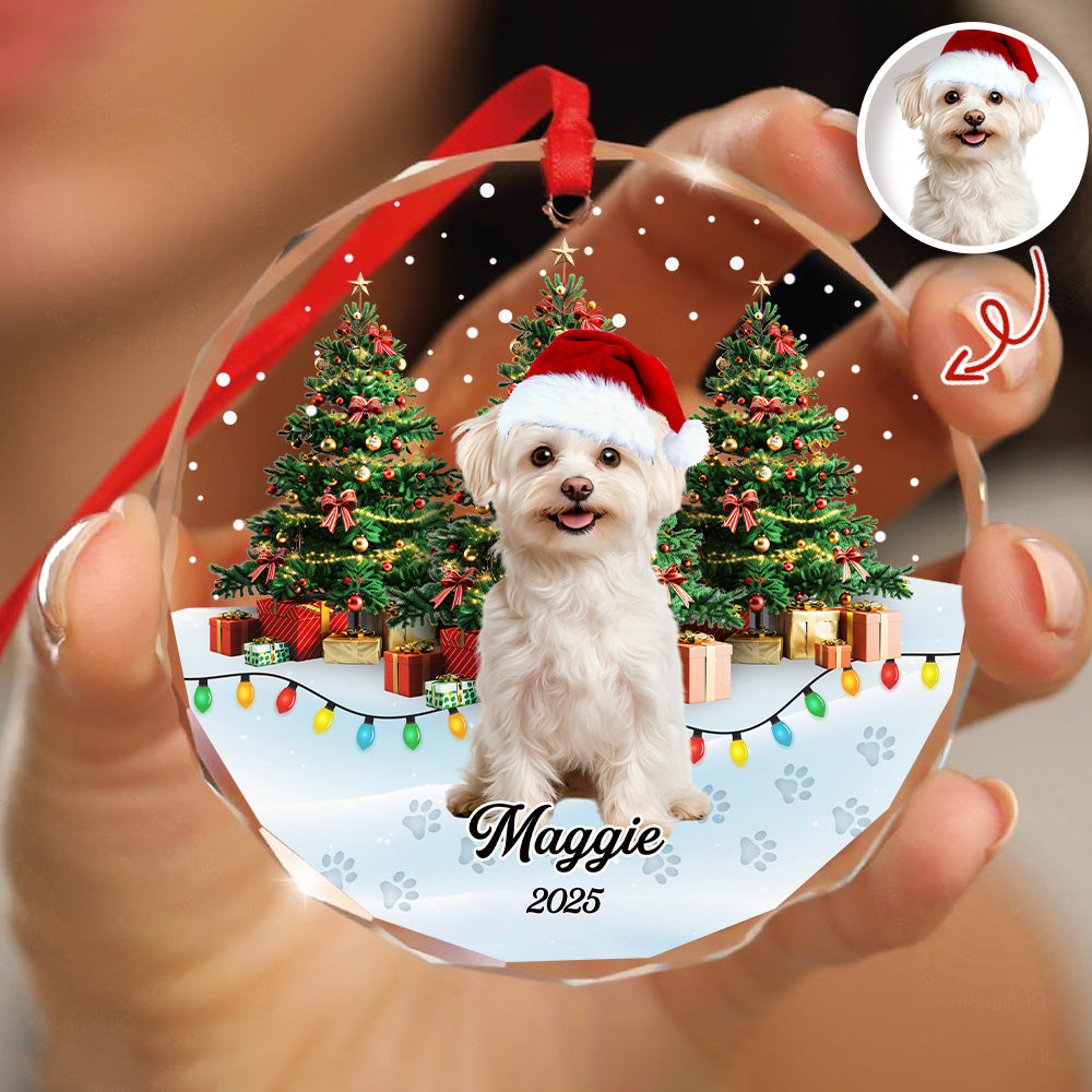 Custom Pet Photo - Personalized Christmas Glass Ornament For Pet Lovers CH07 899692