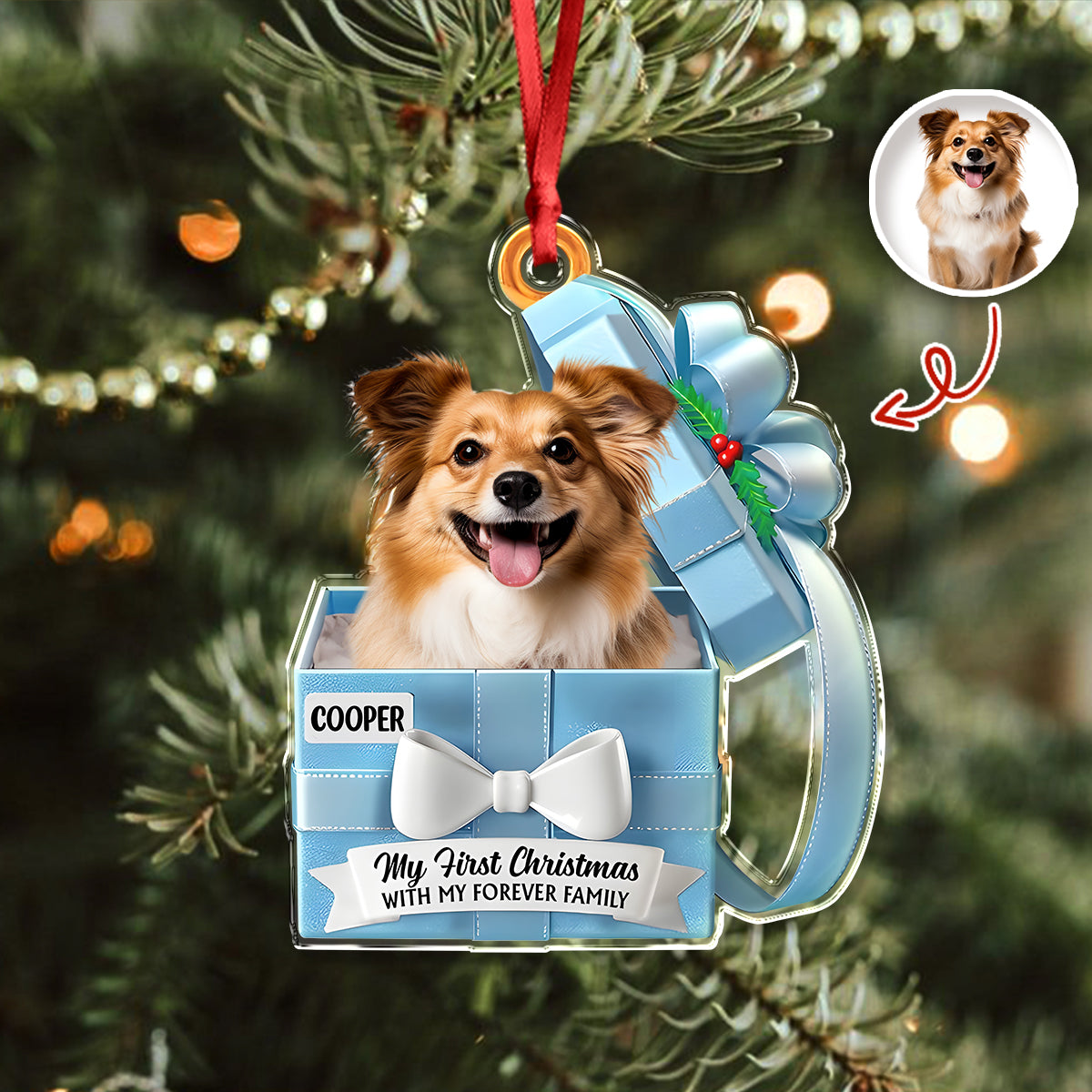 Custom Cute Dog Photo Gift Box From Your Buddy Acrylic Ornament LM32 893959