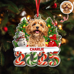 Custom Photo Christmas Gifts Dog Cat Acrylic Ornament HO82 900282