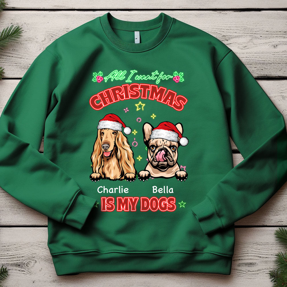 All I Want For Christmas Is My Dog Sweatshirt TH10 896211