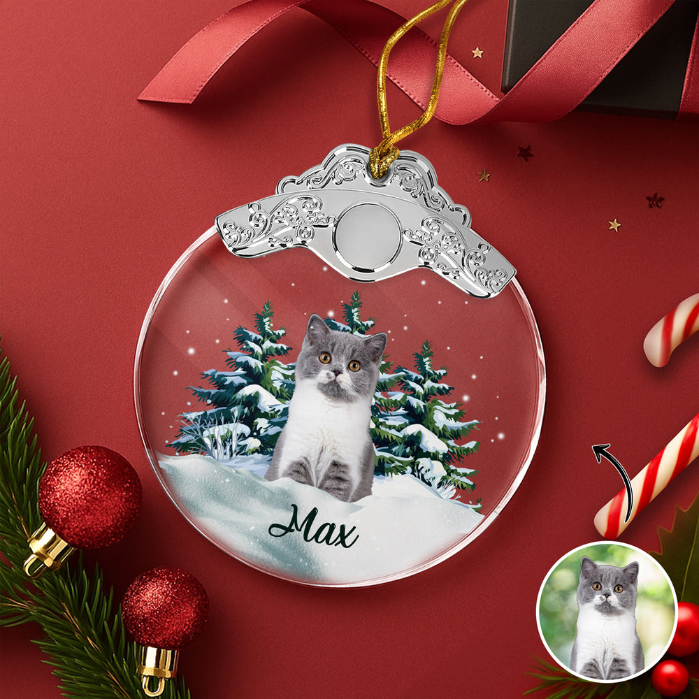 Custom Cat Photo Metal Top Glass Ornament For Christmas HA75 897172