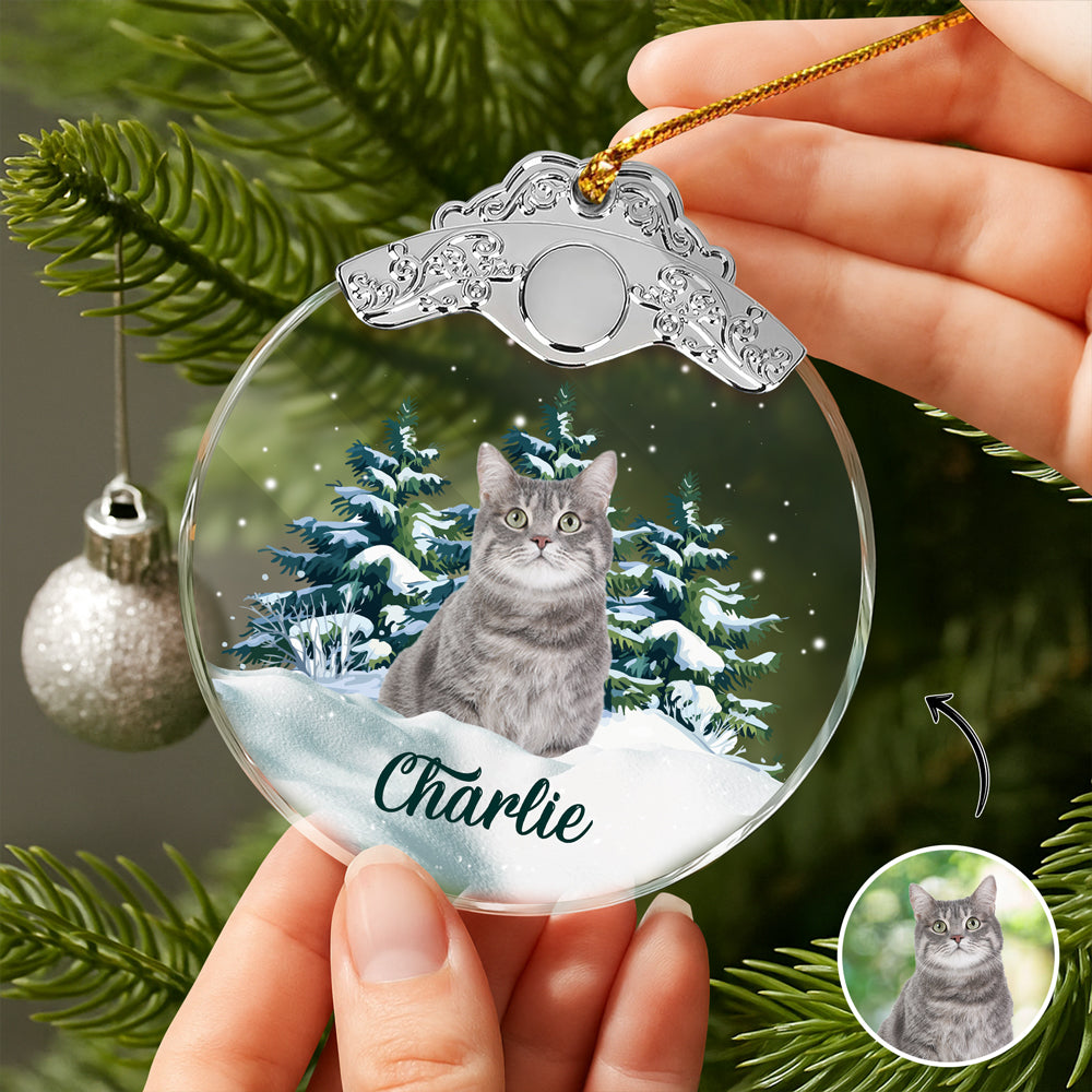 Custom Cat Photo Metal Top Glass Ornament For Christmas HA75 897172