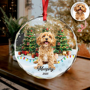 Custom Pet Photo - Personalized Christmas Glass Ornament For Pet Lovers CH07 899692