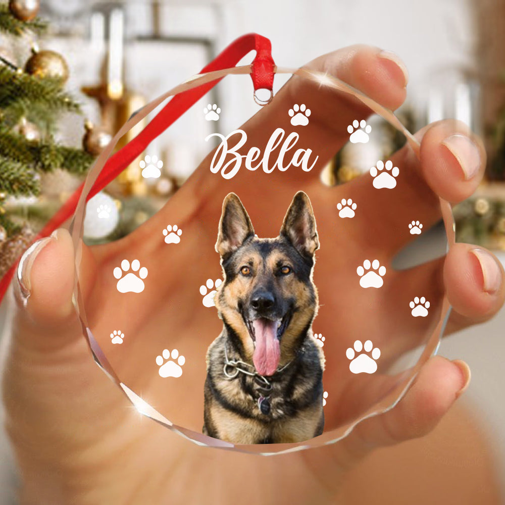 Custom Pet Photo With Icon For Dog And Cat Lovers Glass Ornament TH10 894255