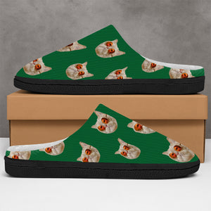 Custom Funny Face Cat Pet Slippers Gift For Cat Lovers, Pet Owner HA75 897508