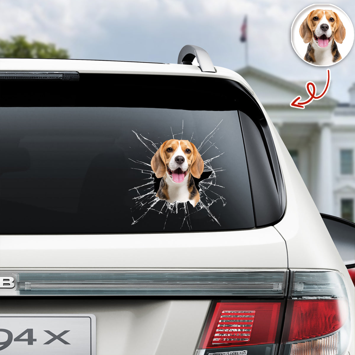 Custom Pet Photo Car Window Decal Sticker Gift For Pet Lovers HA75 898158