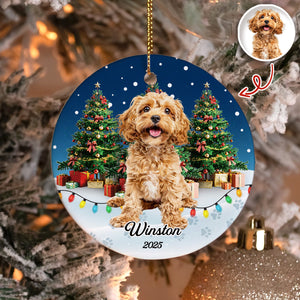 Custom Pet Photo - Personalized Christmas Ceramic Ornament For Pet Lovers CH07 899690