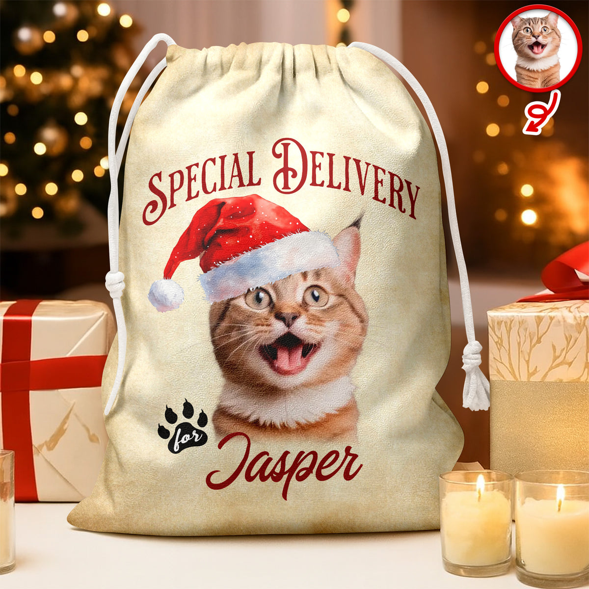 Personalized Cat Santa Christmas Bag Custom Cat Name Christmas Sack Special Delivery CH07 899416