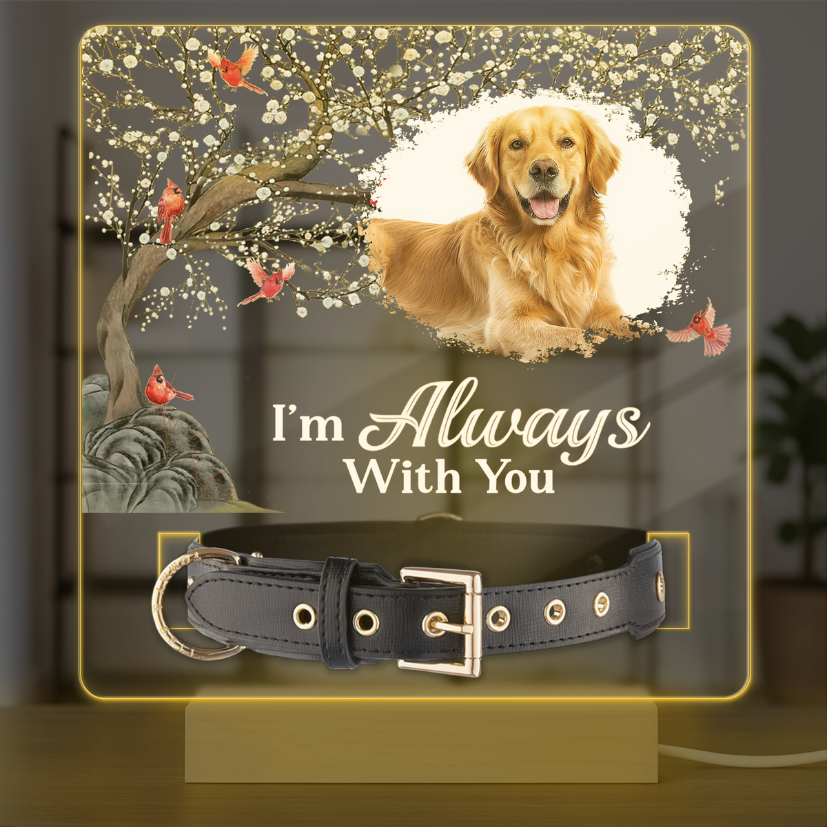 Custom Photo Your Light Will Always Shine In My Heart Memorial Acrylic Collar Frame TH10 894093