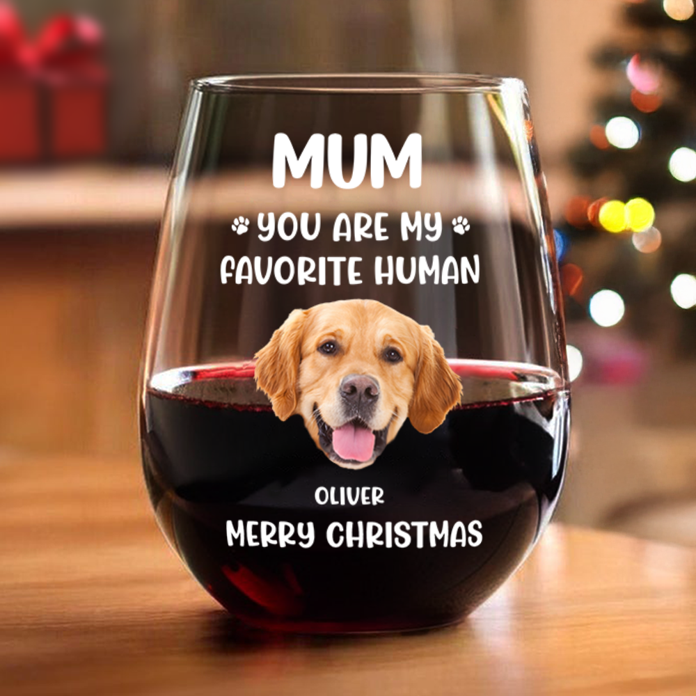 Custom Face Dog Cat - Mom, You’re My Favorite Human Wine Glass HA75 892944