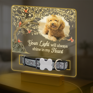 Custom Photo Your Light Will Always Shine In My Heart Memorial Acrylic Collar Frame TH10 894093