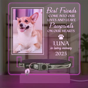Custom Photo Best Friends Are Never Forgotten Memorial Acrylic Collar Frame TH10 894107