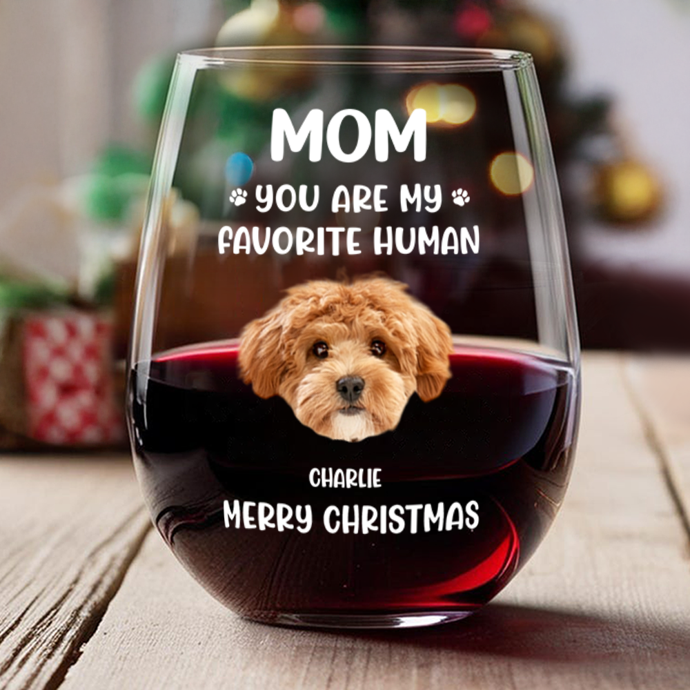 Custom Face Dog Cat - Mom, You’re My Favorite Human Wine Glass HA75 892944