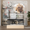 Custom Photo Your Light Will Always Shine In My Heart Memorial Acrylic Collar Frame TH10 894093