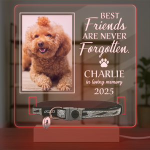Custom Photo Best Friends Are Never Forgotten Memorial Acrylic Collar Frame TH10 894107