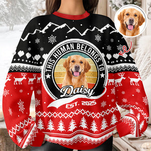 Custom Photo Human Belongs Dog Ugly Sweater For Pet Lovers HO82 900020