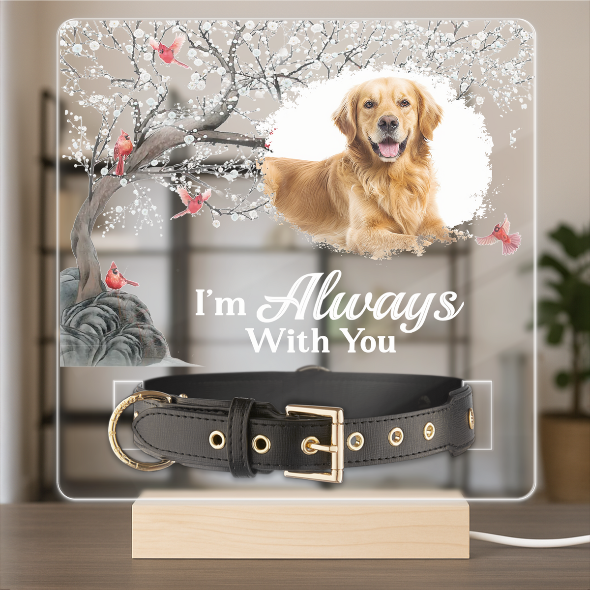 Custom Photo Your Light Will Always Shine In My Heart Memorial Acrylic Collar Frame TH10 894093