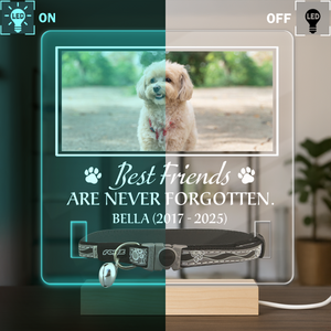 Custom Photo You Were My Favorite Hello Memorial Acrylic Collar Frame TH10 894095