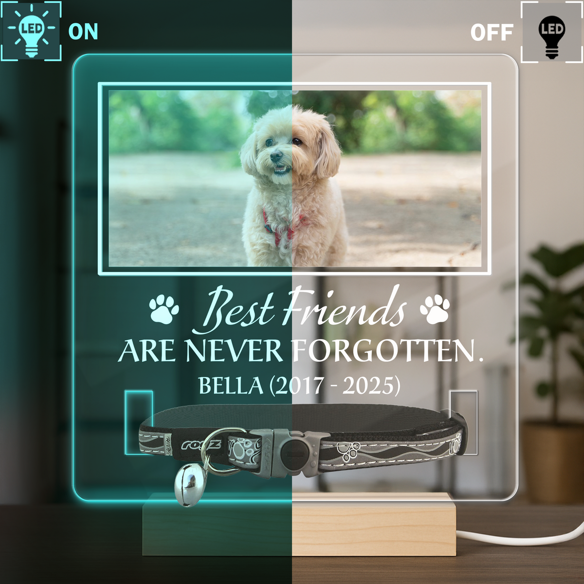 Custom Photo You Were My Favorite Hello Memorial Acrylic Collar Frame TH10 894095