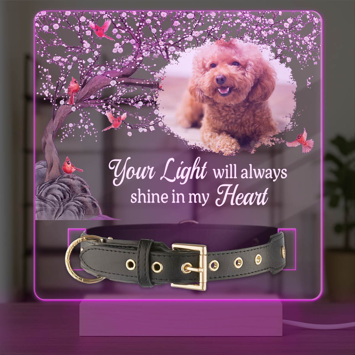 Custom Photo Your Light Will Always Shine In My Heart Memorial Acrylic Collar Frame TH10 894093