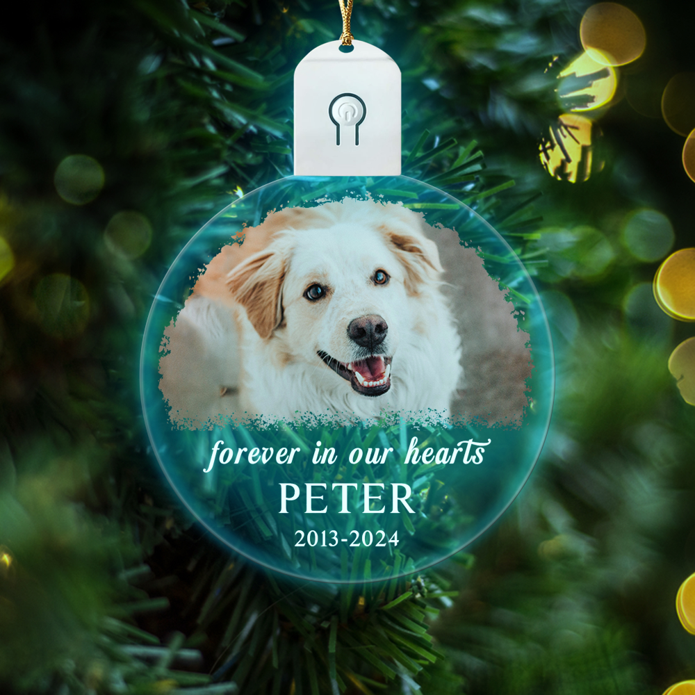 Custom Dog Photo Forever in Our Heart Memorial Circle Led Acrylic Ornament HO82 893216