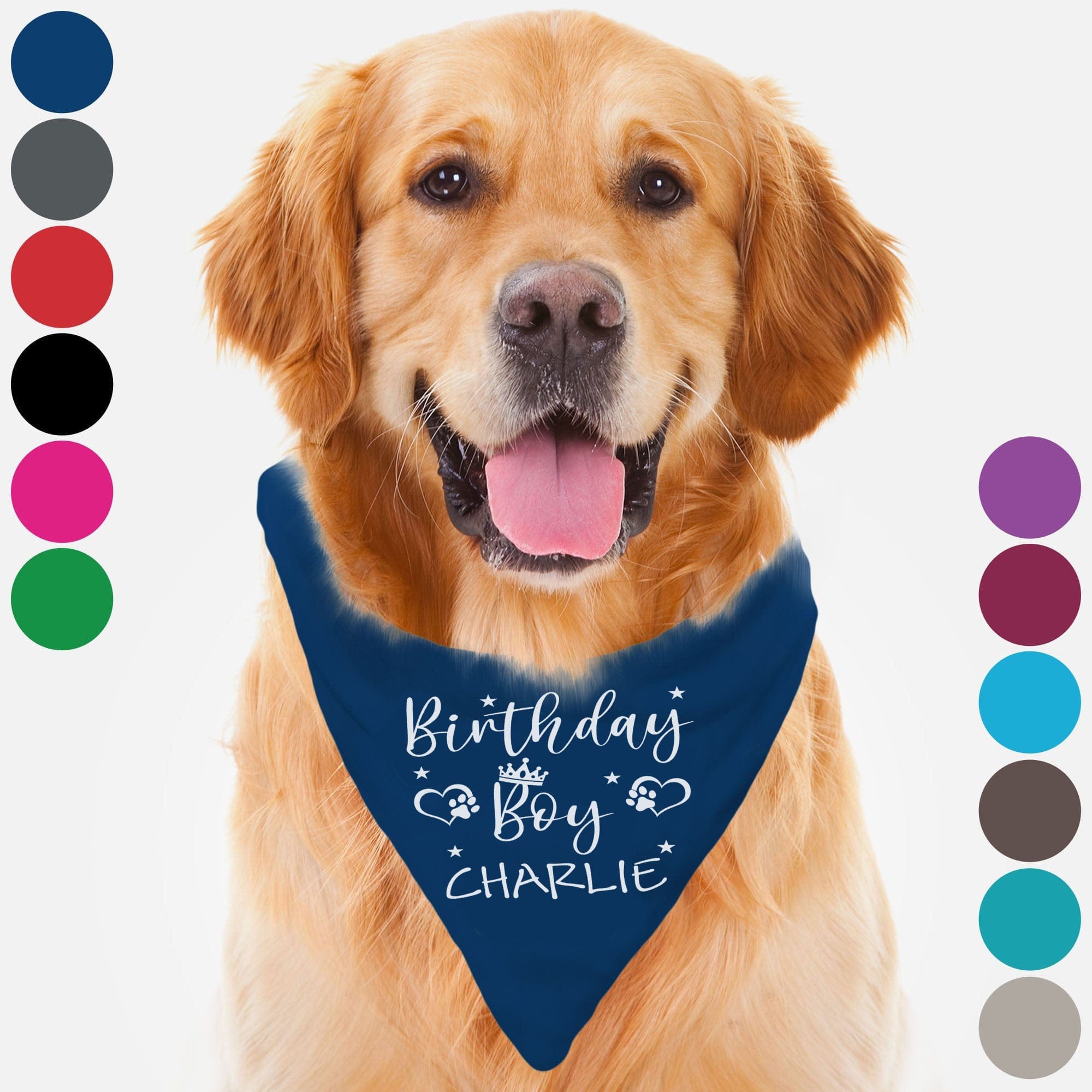 GeckoCustom Birthday Boy Girl Dog Bandana Personalized Custom Dog Bandana H575