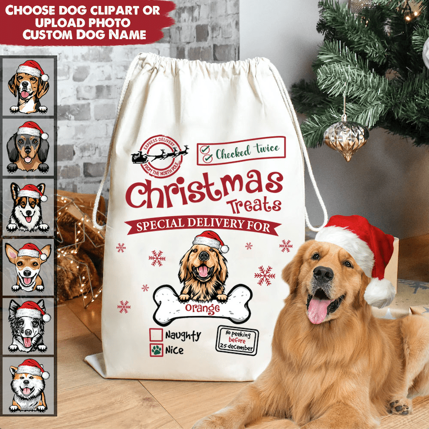 GeckoCustom Christmas Treats Special Delivery For Dog Santa Sack HN590 12 x 18 Inch