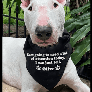 GeckoCustom Personalized Custom Dog Bandana, I'm Going To Need A Lot Of Attention, Dog Lover Gift