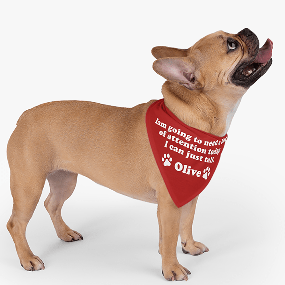 GeckoCustom Personalized Custom Dog Bandana, I'm Going To Need A Lot Of Attention, Dog Lover Gift