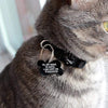 GeckoCustom Personalized Custom Pet Tag, Hi My Name Is Pet Tag, Dog Lover Gifts 1.125"x1.5"