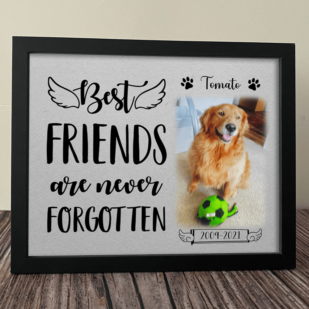 GeckoCustom Personalized Custom Picture Frame, Dog Lover Gift, Best Friends Are Never Forgotten